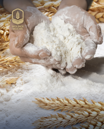Molinos Mochis